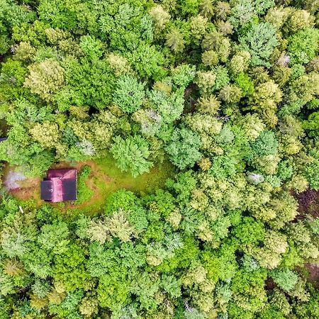 Lost Pond Cabin Schroon Lake Exterior photo